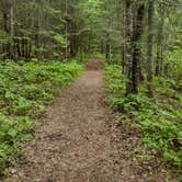 Review photo of Amnicon Falls State Park Campground by Kim H., July 16, 2022