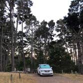 Review photo of Salt Point State Park Campground by allison W., July 16, 2022