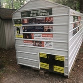 Review photo of D.H. Day Campground — Sleeping Bear Dunes National Lakeshore by Rachel K., July 16, 2022