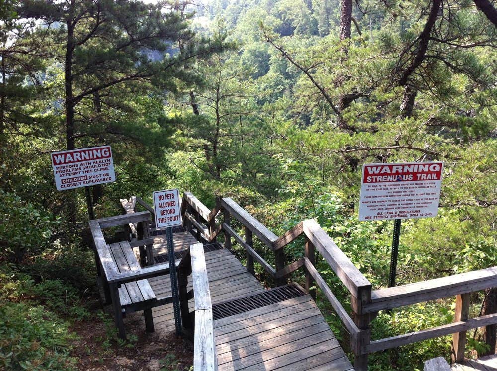 Camper submitted image from Tallulah Gorge State Park Campground - 5