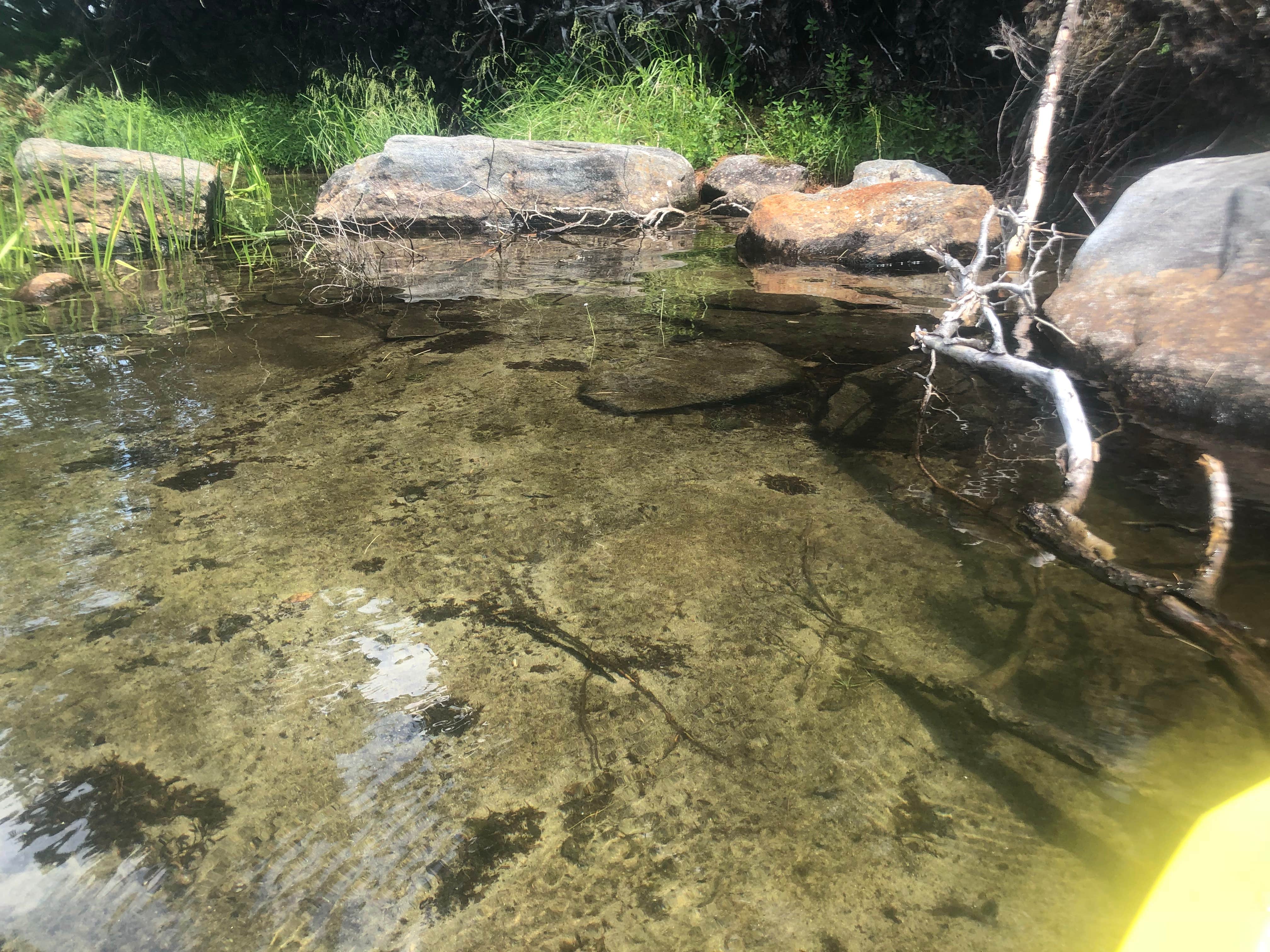 Limekiln Lake Campground Inlet, NY