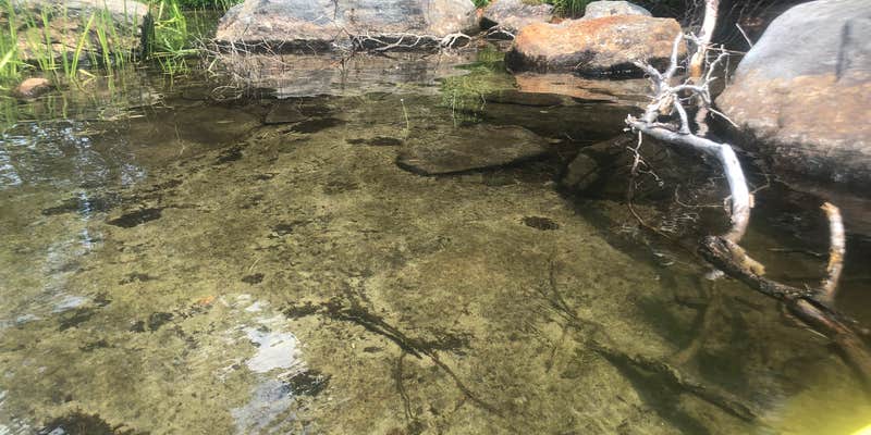 Camper submitted image from Limekiln Lake Campground