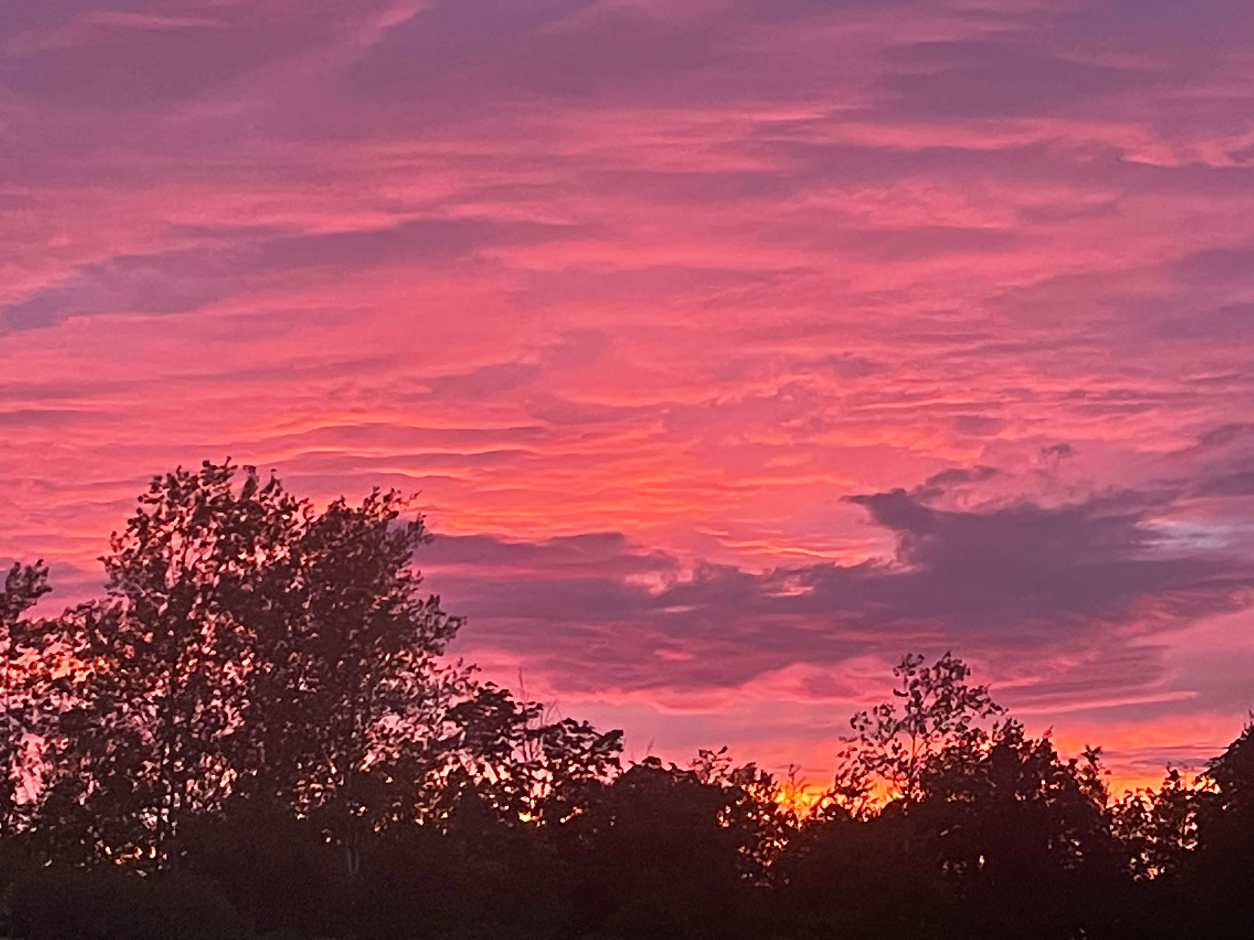 Camper submitted image from Kettle Moraine State Forest Long Lake Campground - 1