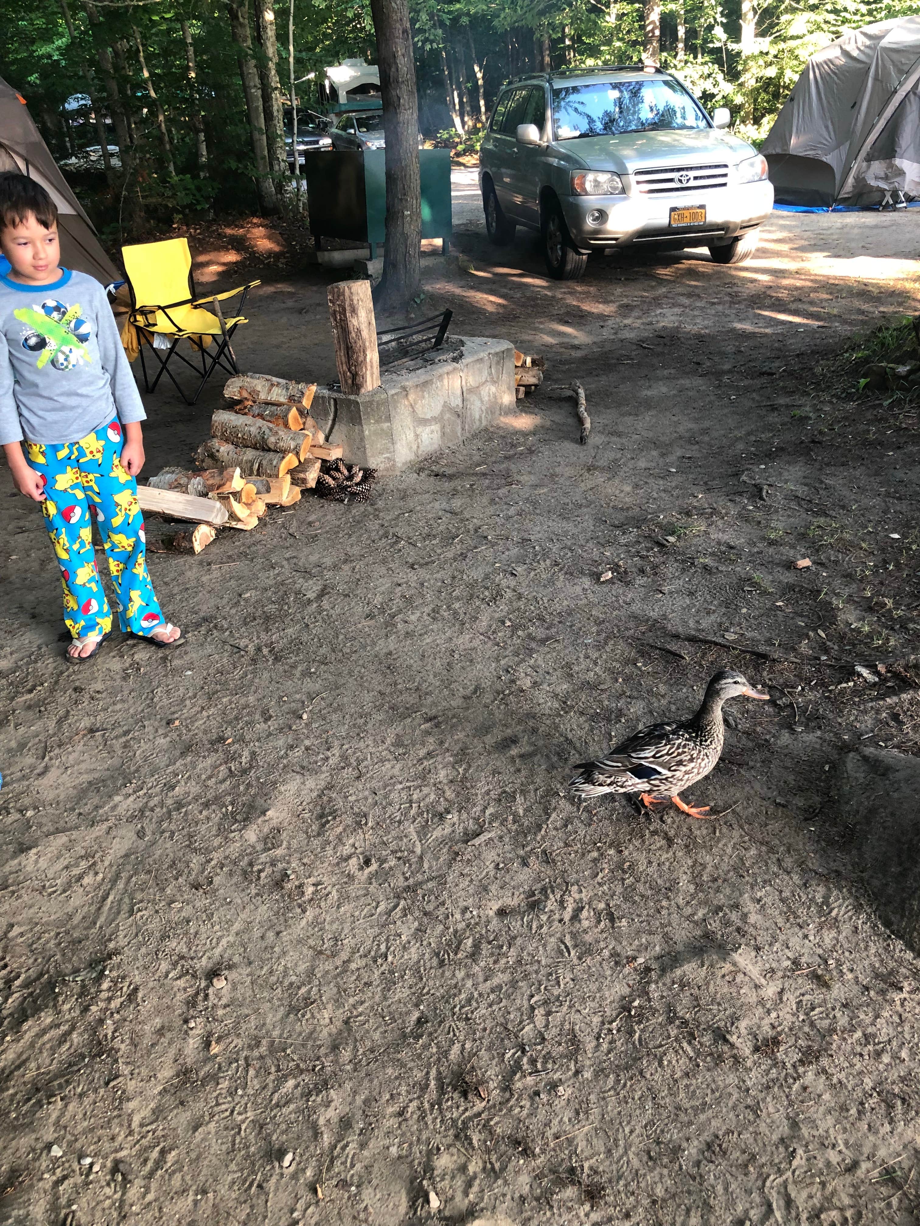 Melissa T.'s photo at Limekiln Lake Campground near Raquette Lake, NY