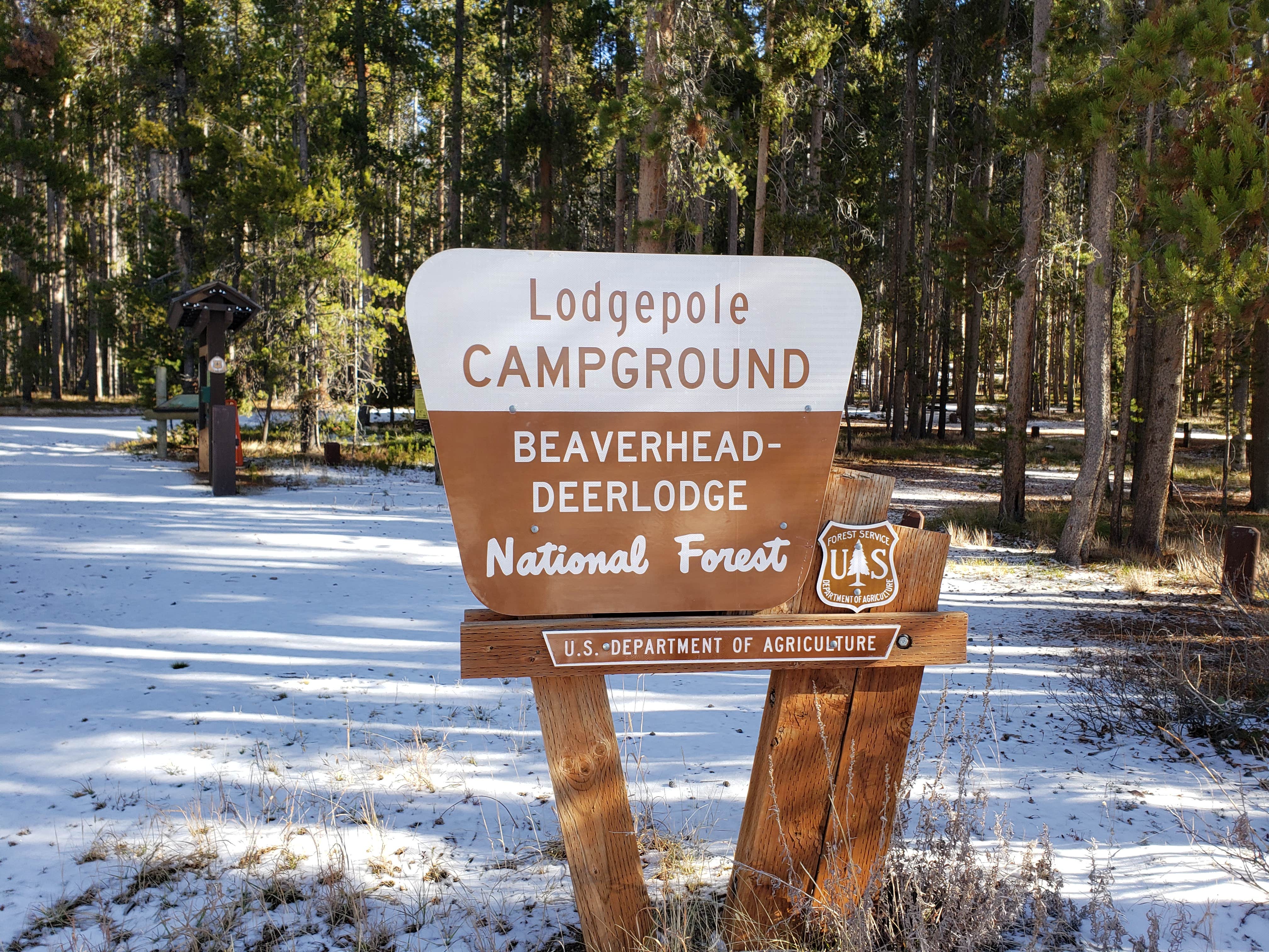 Camper submitted image from Lodgepole Campground - 3