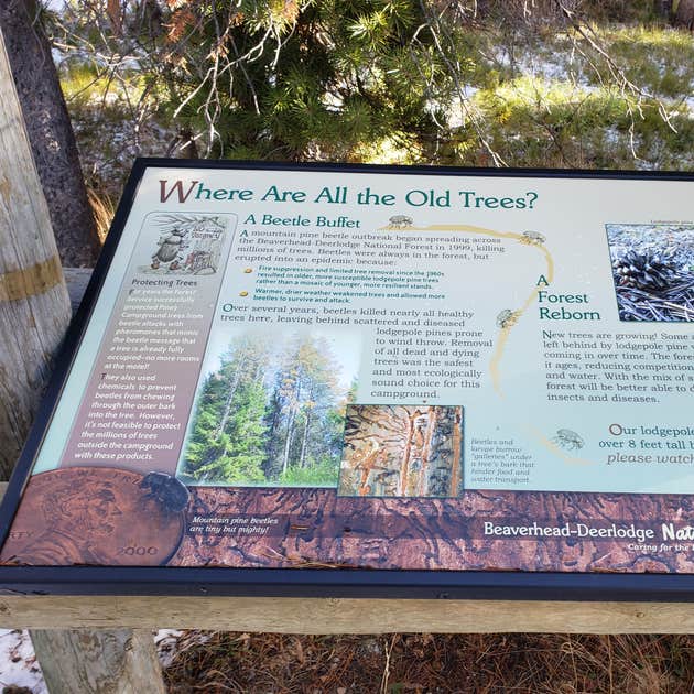 Lodgepole Campground Anaconda, MT