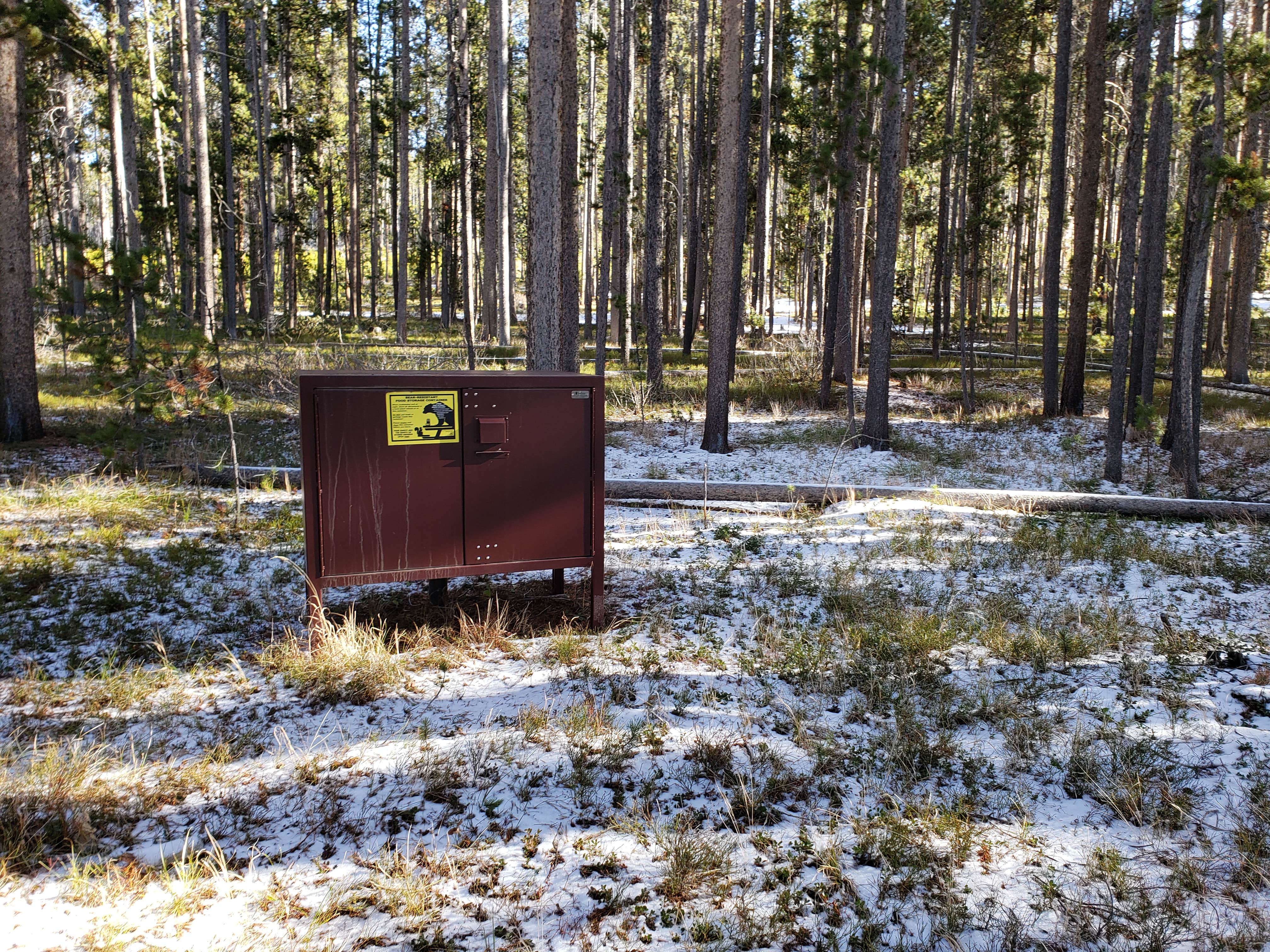 Camper submitted image from Lodgepole Campground - 4