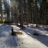 Review photo of Lodgepole Campground by Dexter I., July 16, 2022