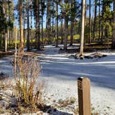 Review photo of Lodgepole Campground by Dexter I., July 16, 2022