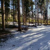 Review photo of Lodgepole Campground by Dexter I., July 16, 2022