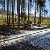 Review photo of Lodgepole Campground by Dexter I., July 16, 2022