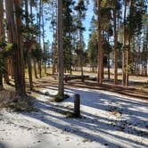 Review photo of Lodgepole Campground by Dexter I., July 16, 2022