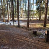 Review photo of Lodgepole Campground by Dexter I., July 16, 2022