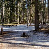 Review photo of Lodgepole Campground by Dexter I., July 16, 2022