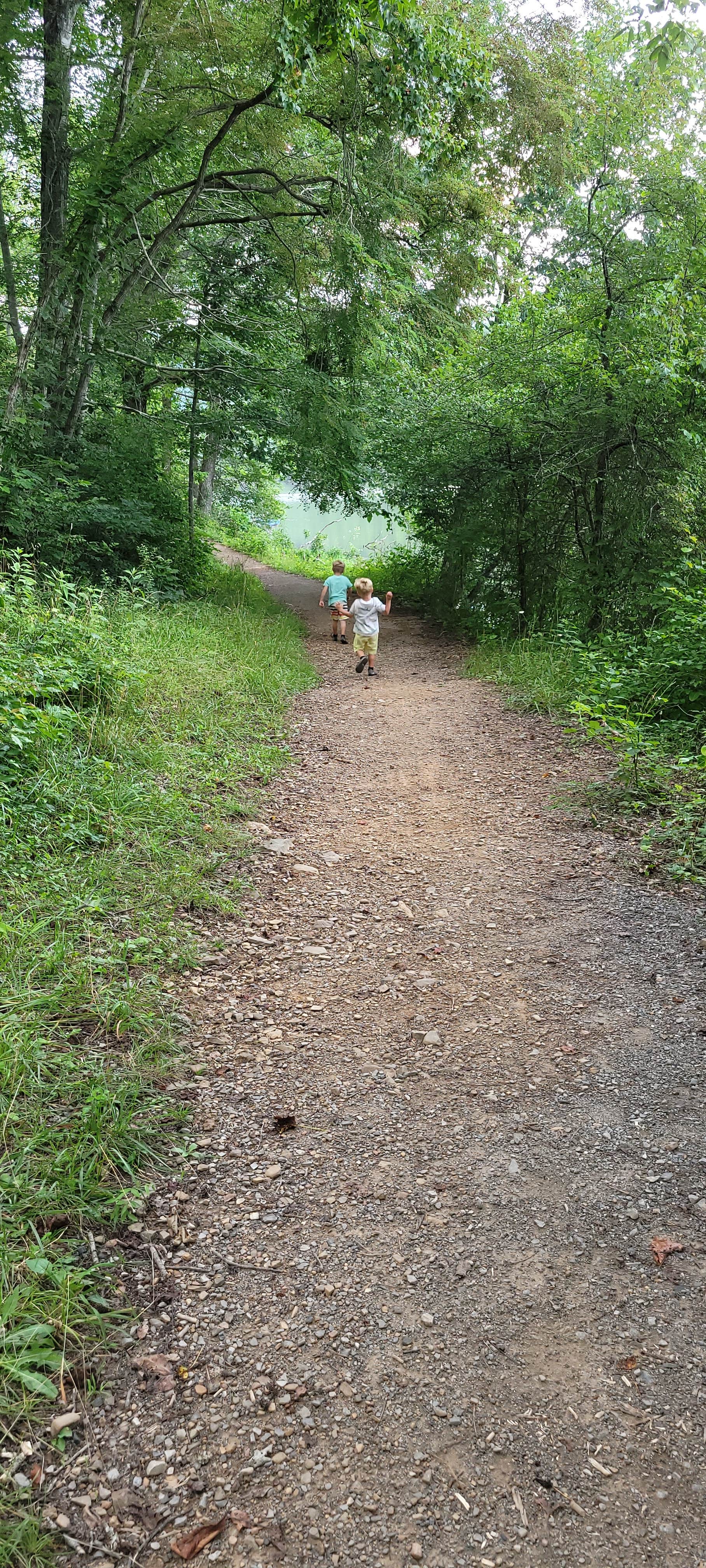 Camper submitted image from Camp Burson Campground — Hungry Mother State Park - 4