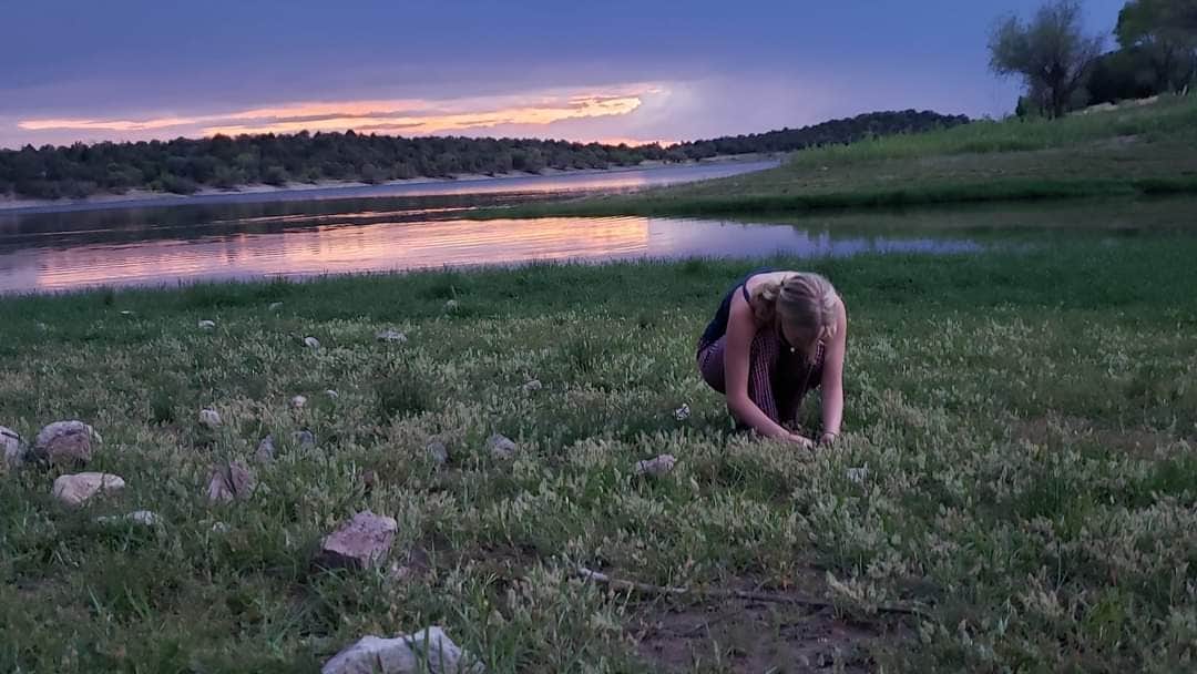 Camper-submitted photo at Lakeview Campground near Patagonia, AZ