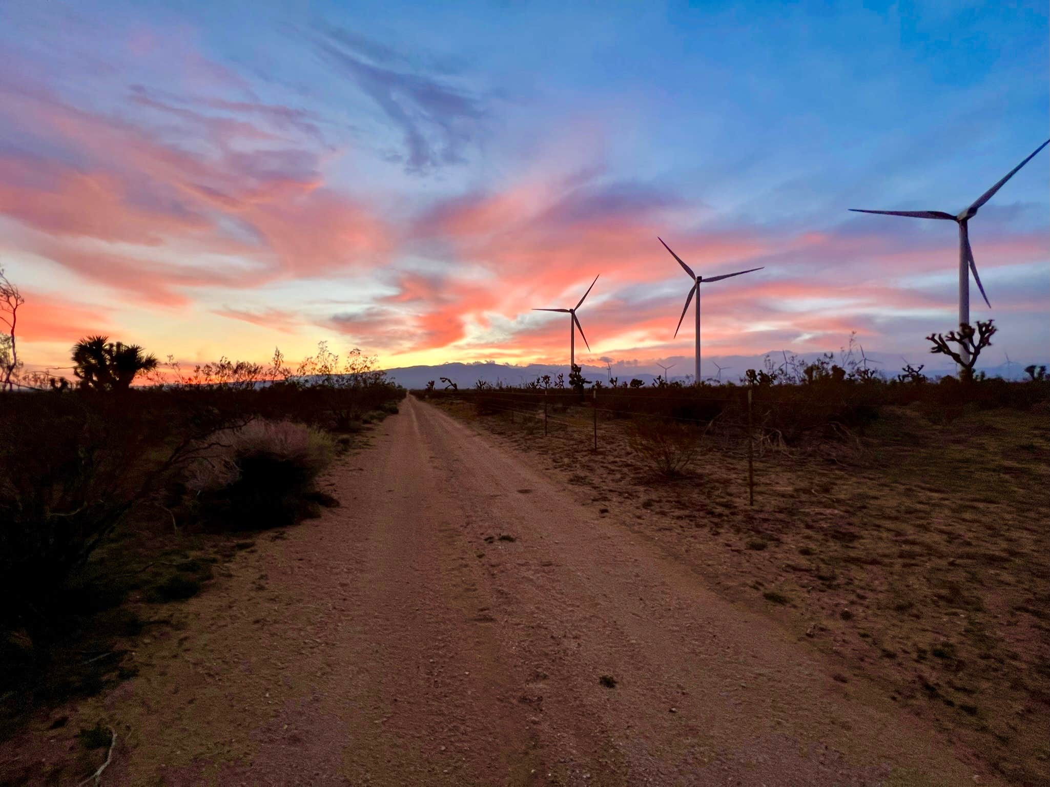 Camper-submitted photo at Wind Walker Ranch - (NOT able to take bookings at the moment) near Mojave, CA