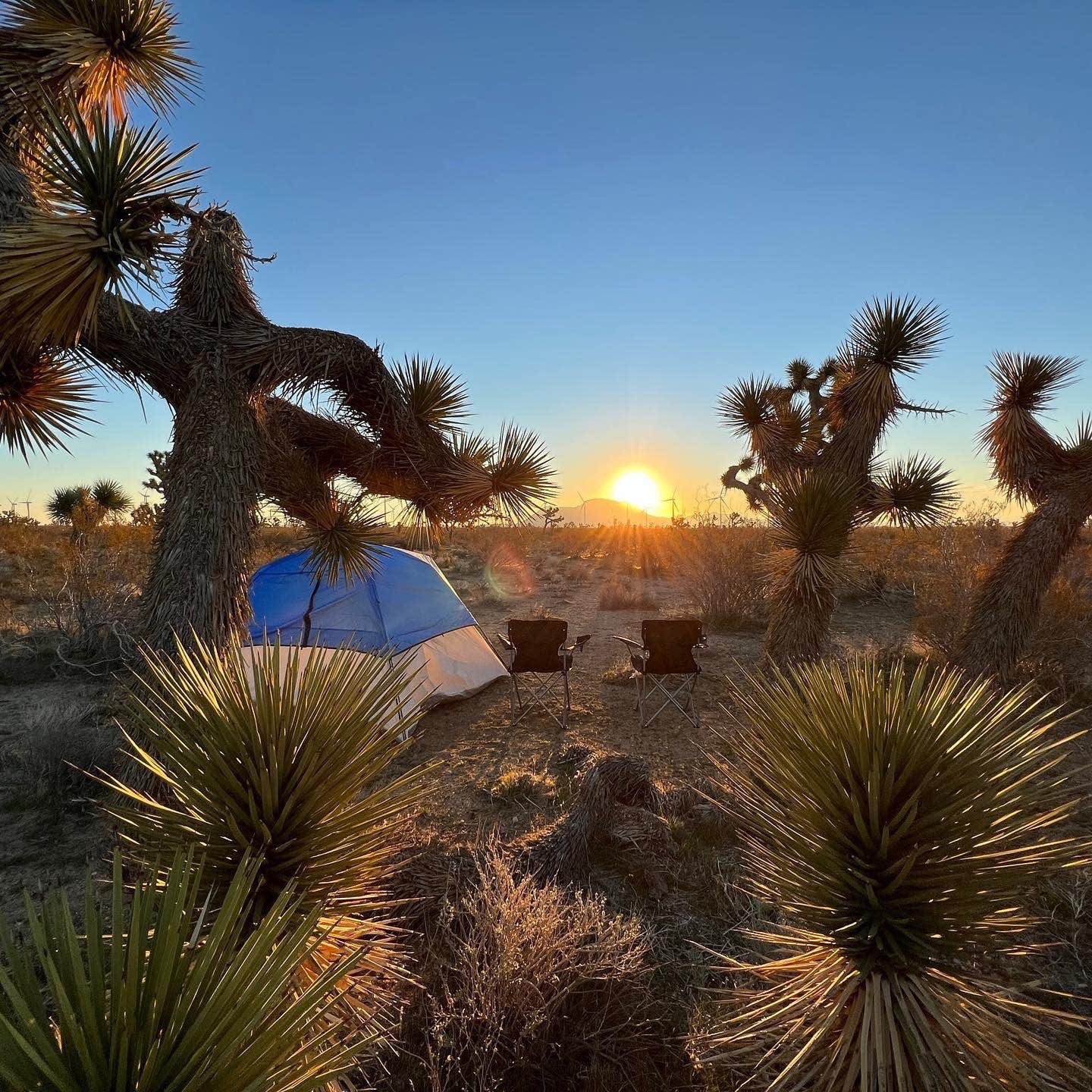 Camper-submitted photo at Wind Walker Ranch - (NOT able to take bookings at the moment) near Mojave, CA