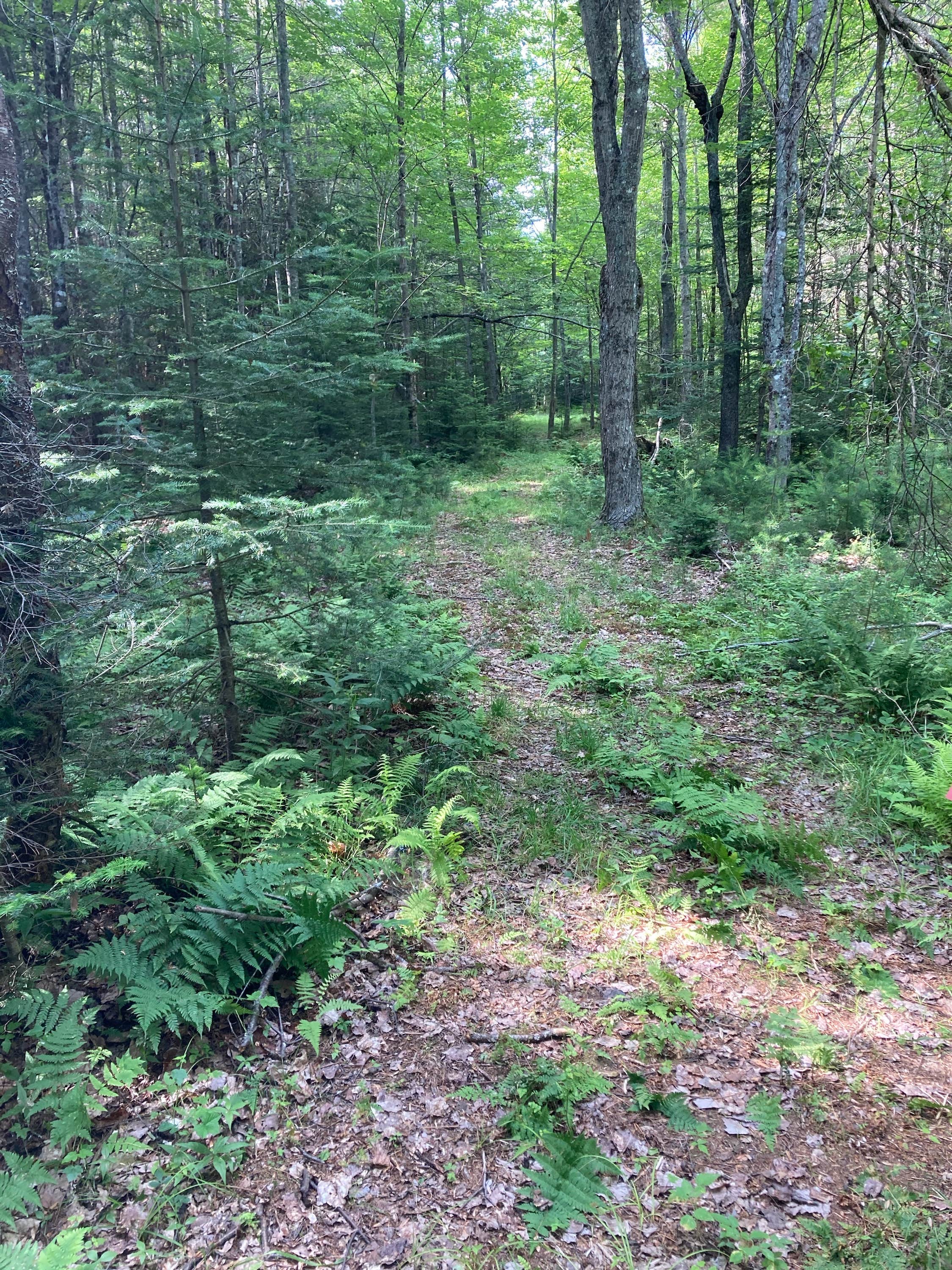 Camper-submitted photo at Maine Star Campground near Stetson, ME