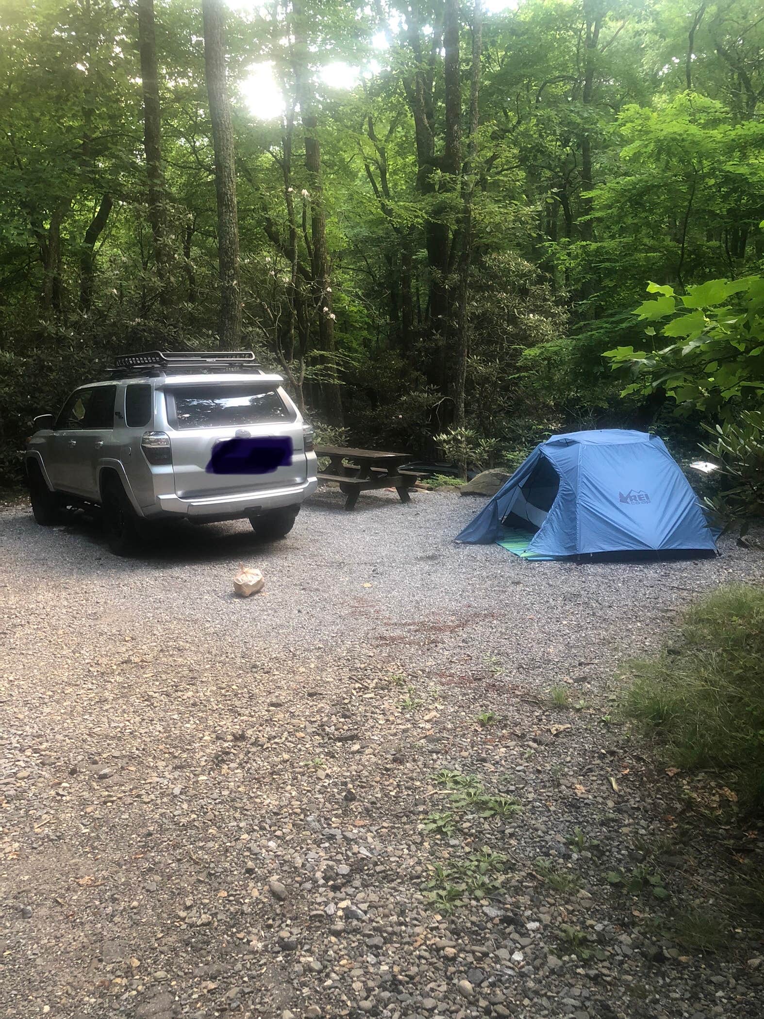 molly N.'s photo at Montreat Family Campground in North Carolina