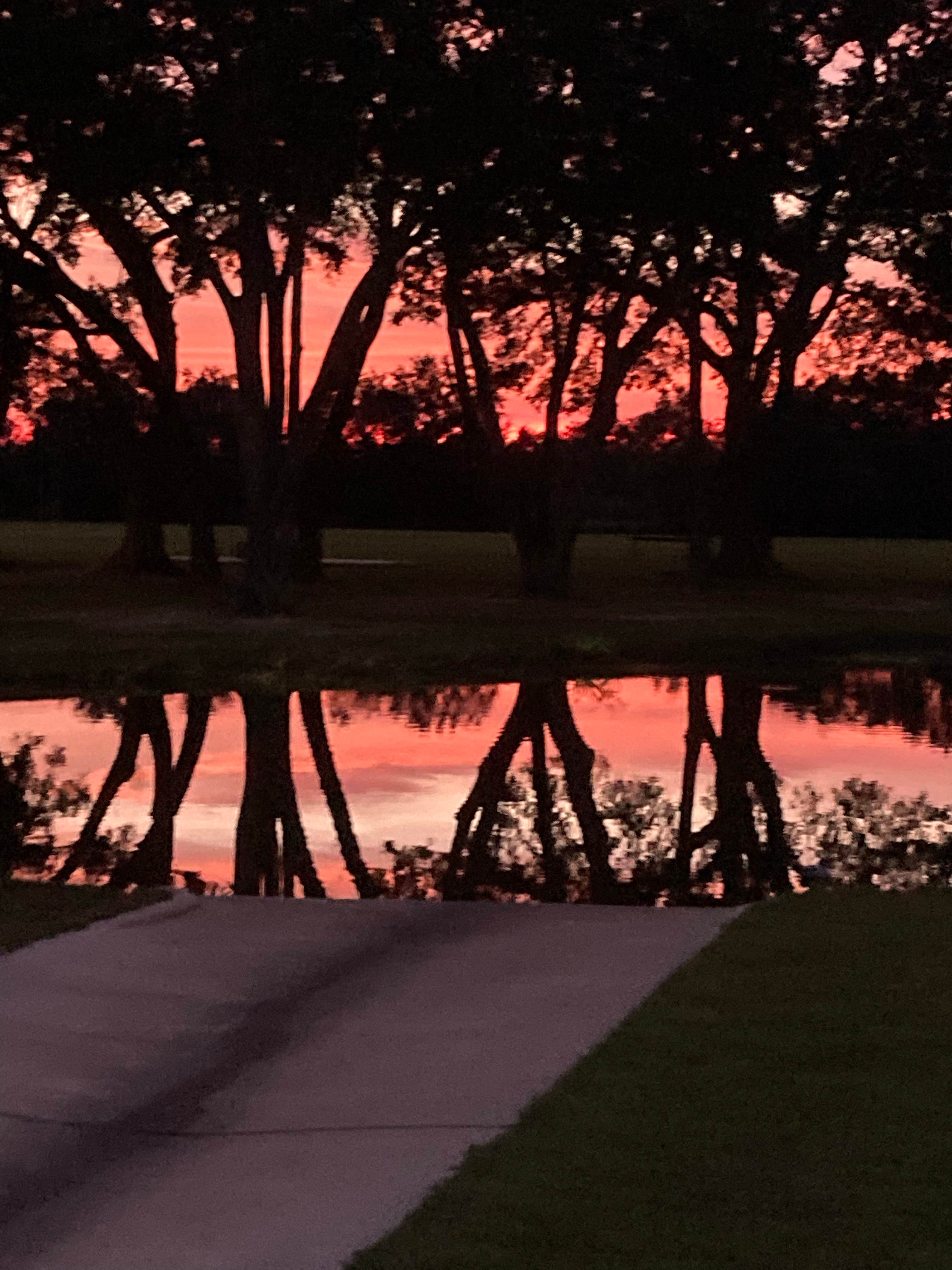 Camper-submitted photo at Homestead RV Community near Dauphin Island, AL