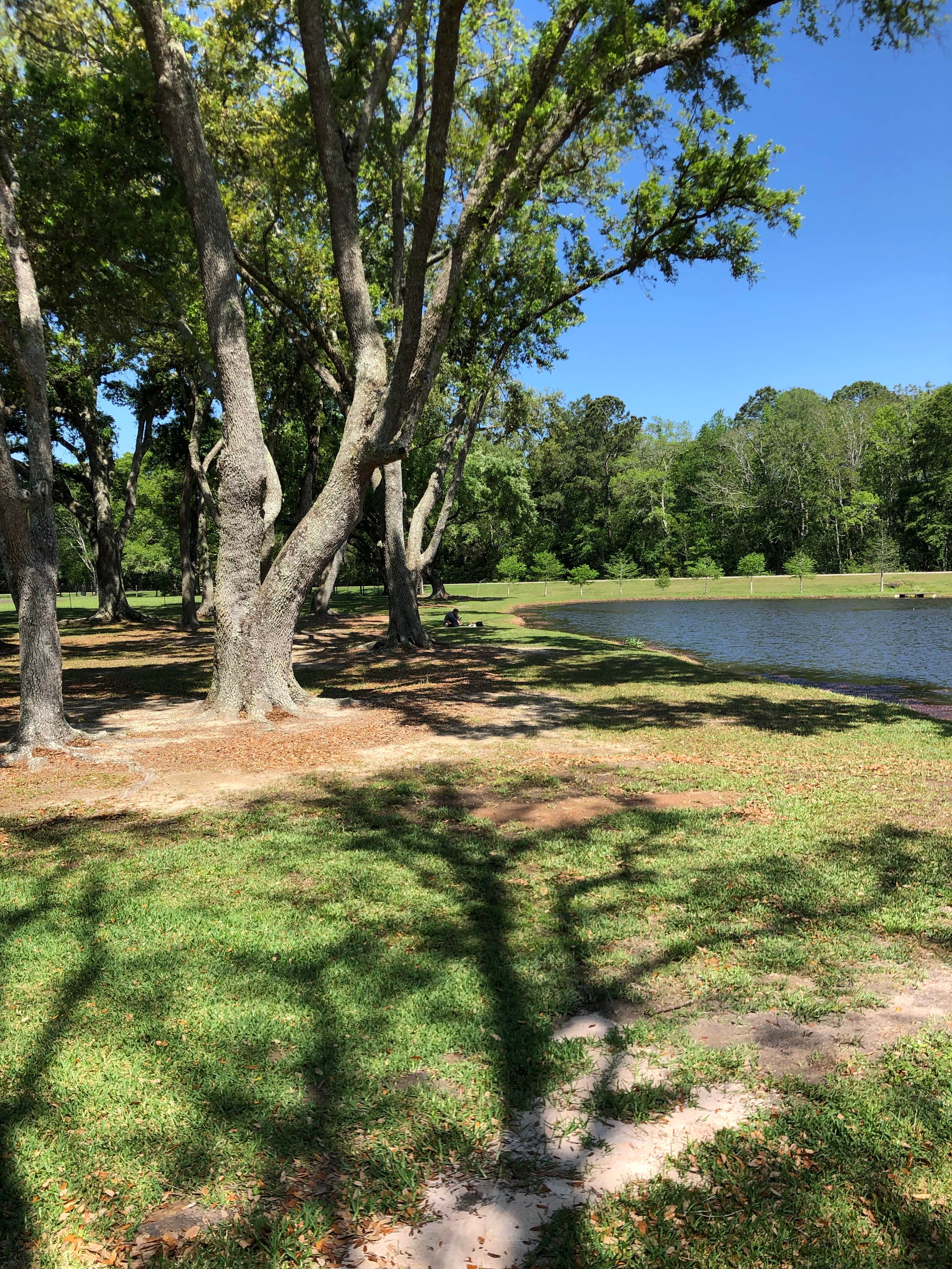 Camper-submitted photo at Homestead RV Community near Dauphin Island, AL
