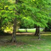 Review photo of Croatan National Forest Neuse River Campground by Carol C., July 16, 2022