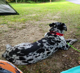 Camper-submitted photo from Croatan National Forest Neuse River Campground