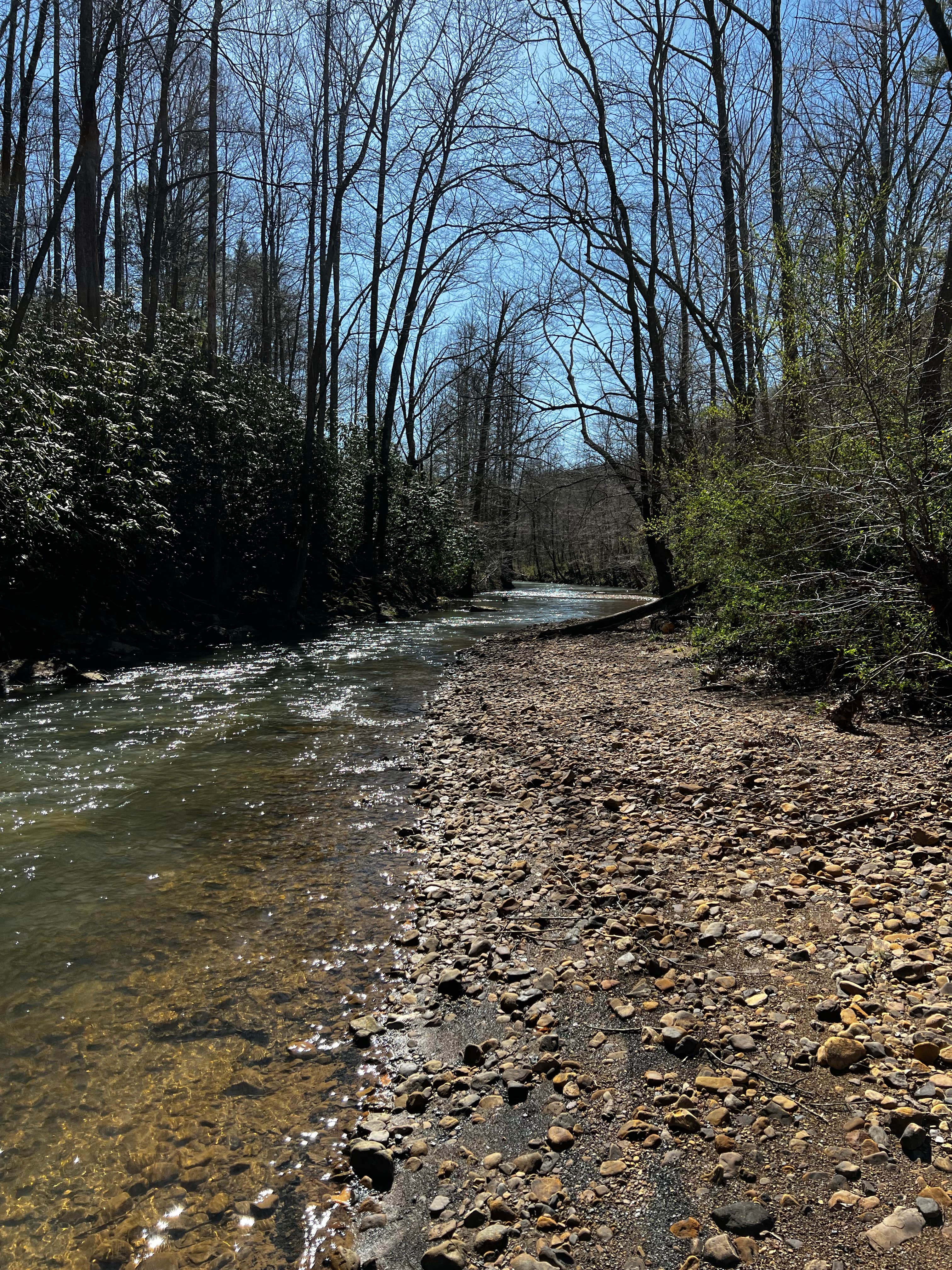 Camper submitted image from Windrock Ridge Campground - 3