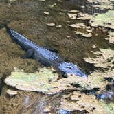 Review photo of Magnolia Springs State Park Campground by Ashley W., July 16, 2022