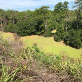 Review photo of Kolomoki Mounds State Park Campground by Ashley W., July 16, 2022