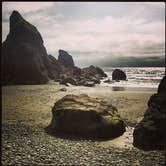 Review photo of South Beach Campground — Olympic National Park by Lindsay B., June 10, 2015