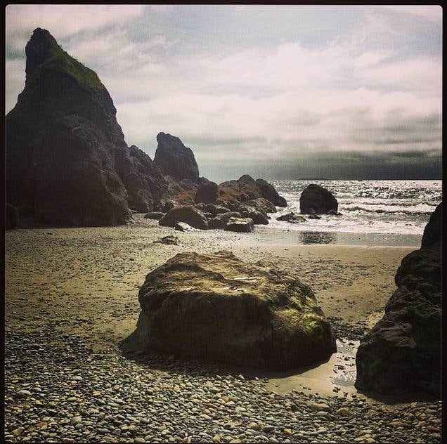 Camper submitted image from South Beach Campground — Olympic National Park - 3