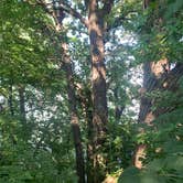 Review photo of Marble Beach State Rec Area by Mallory S., July 16, 2022