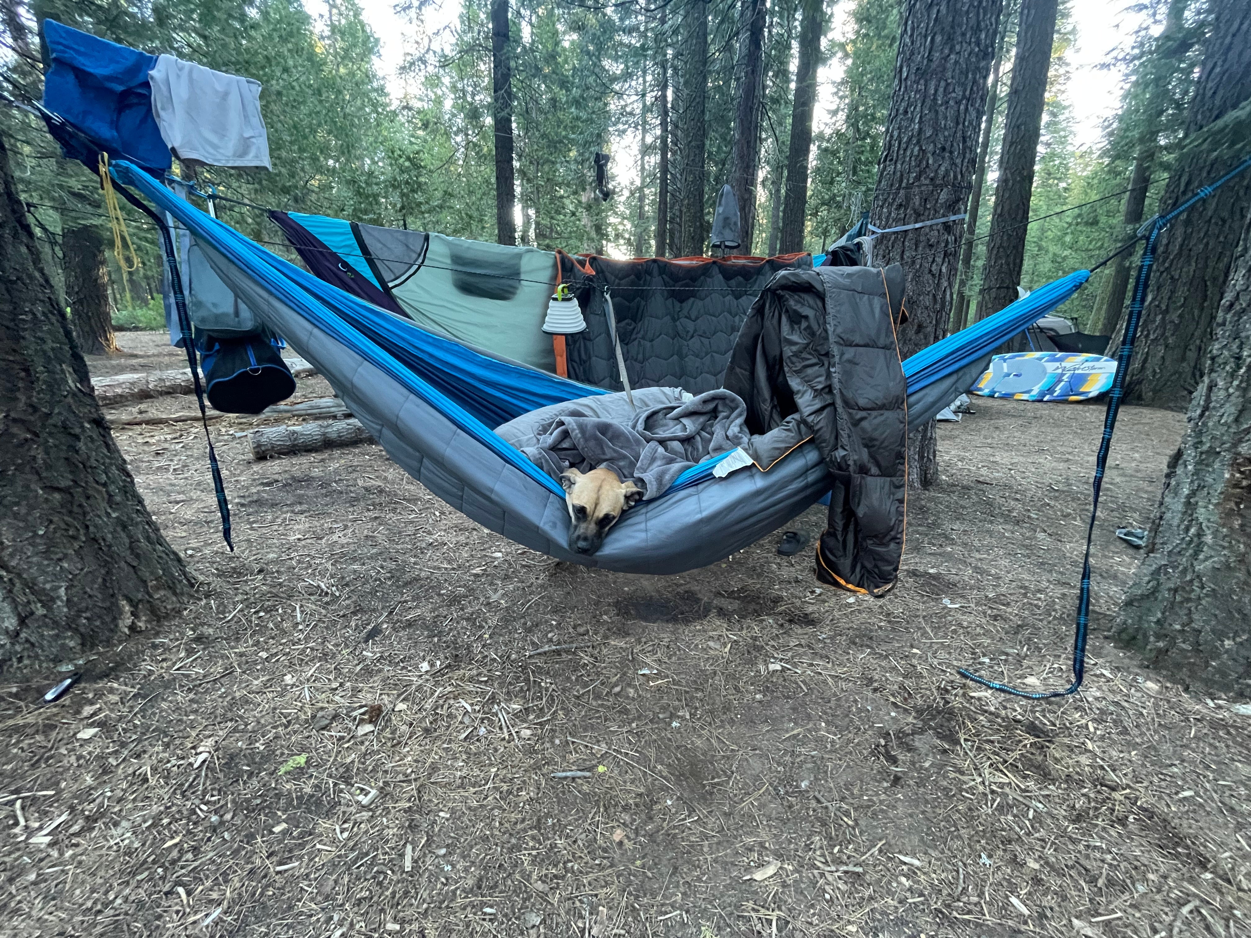 Camper submitted image from Wench Creek Campground - 3