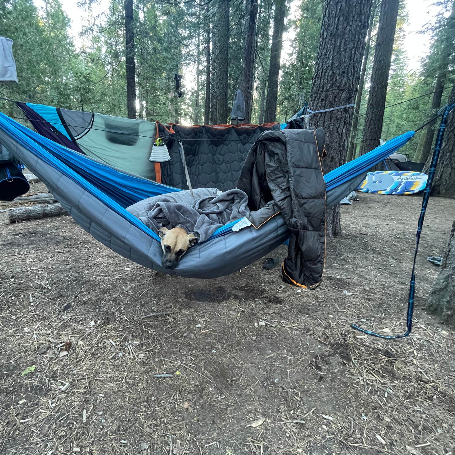 Wench Creek Campground Kyburz, CA