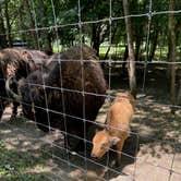 Review photo of Big Bone Lick State Park Campground by William S., July 16, 2022