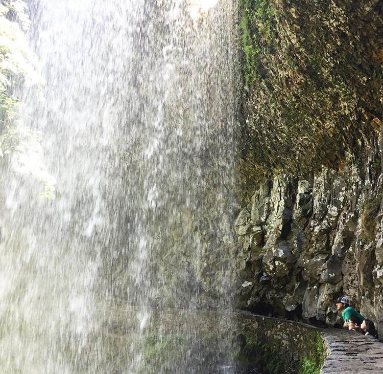 Camper submitted image from Silver Falls State Park Campground - 3