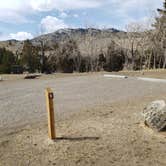 Review photo of Carbella Rec Site Camping by Dexter I., July 16, 2022