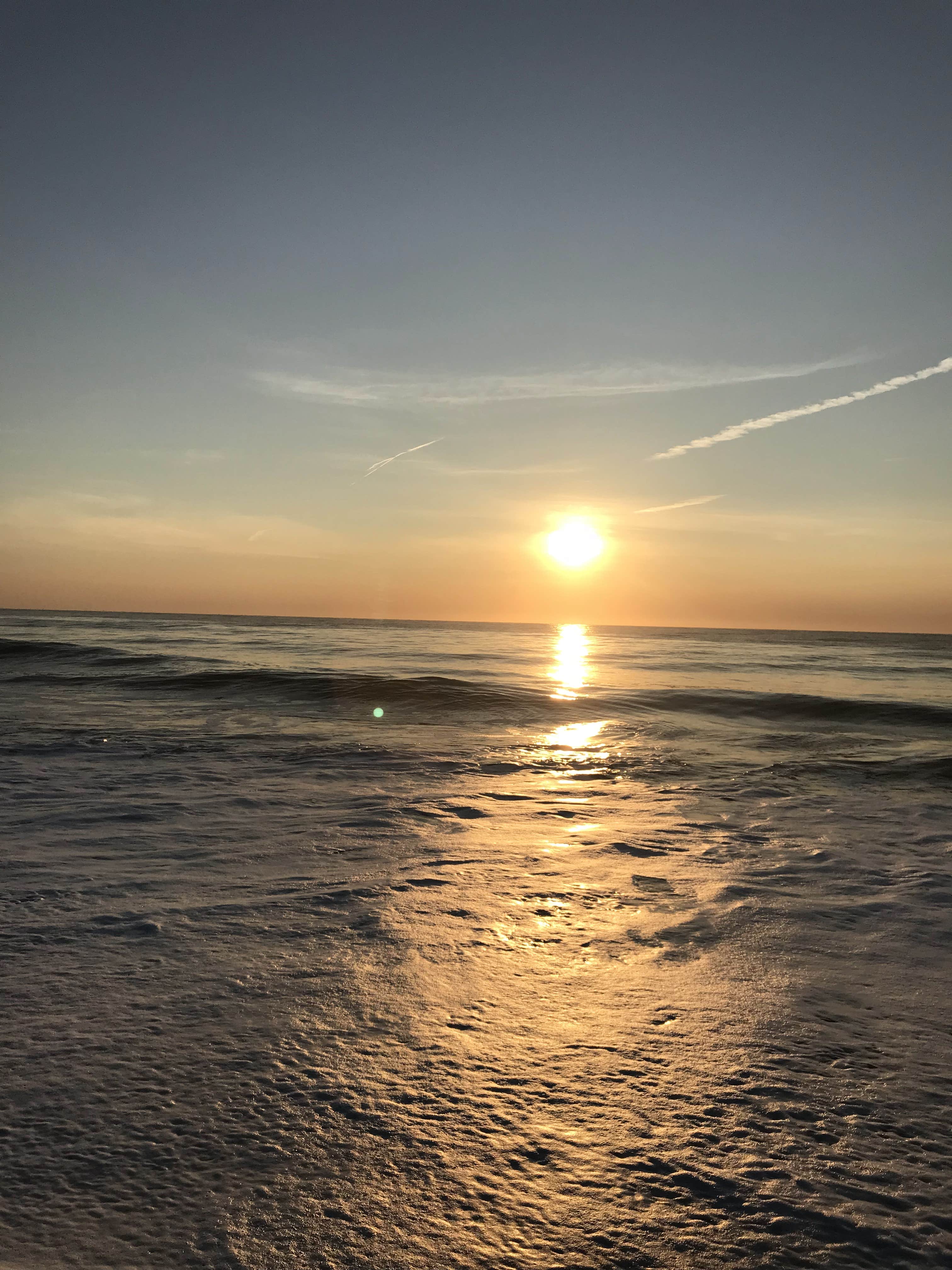 Camper-submitted photo at Cape Henlopen State Park Campground near Millville, DE