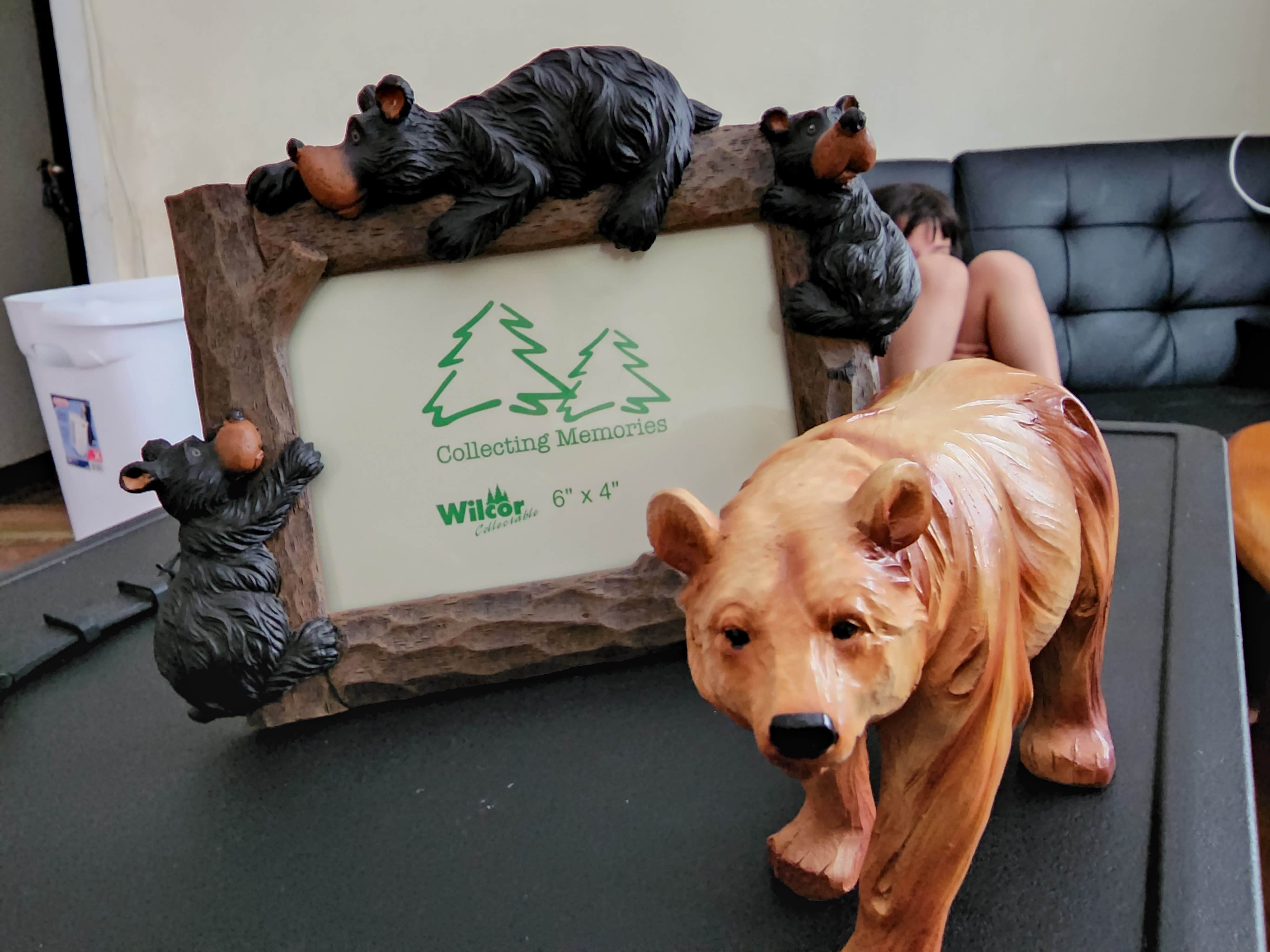 Lindsey R.'s photo of camping with pets at Twin Mountain-Mt. Washington KOA near Randolph, NH