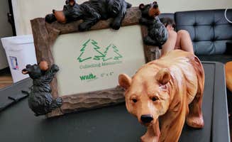 Lindsey R.'s photo of camping with pets at Twin Mountain-Mt. Washington KOA in New Hampshire