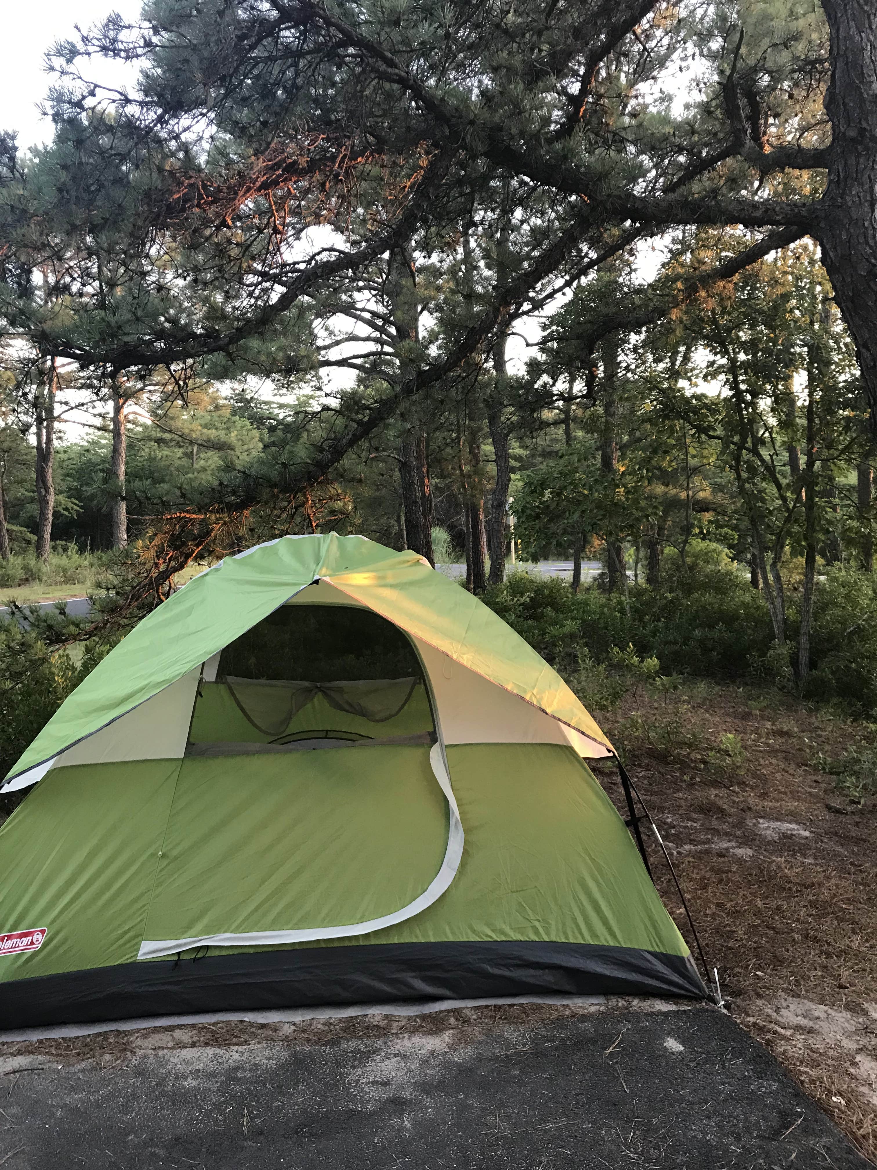 Camper-submitted photo at Cape Henlopen State Park Campground near Millville, DE