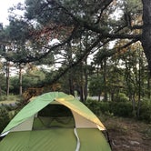 Review photo of Cape Henlopen State Park Campground by Sara W., July 19, 2018