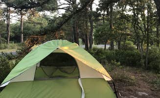 Sara W.'s photo at Cape Henlopen State Park Campground near Wildwood Crest, NJ