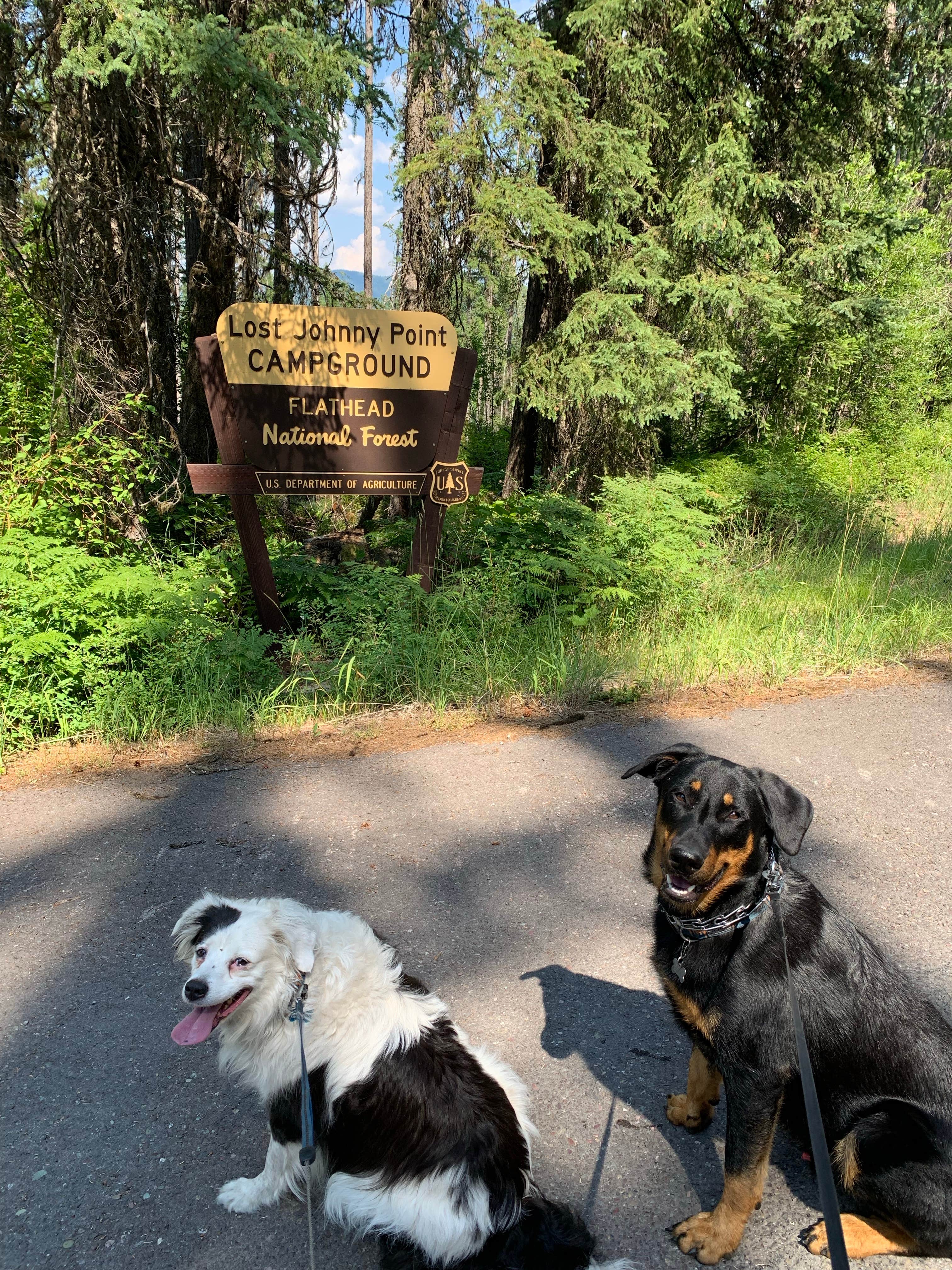 CHris B.'s photo of camping with pets at Lost Johnny Point Campground near Essex, MT