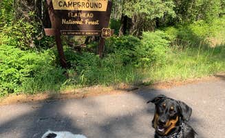 CHris B.'s photo of camping with pets at Lost Johnny Point Campground near Kalispell, MT