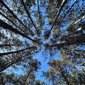 Review photo of Platte River Campground — Sleeping Bear Dunes National Lakeshore by CHris B., July 17, 2022