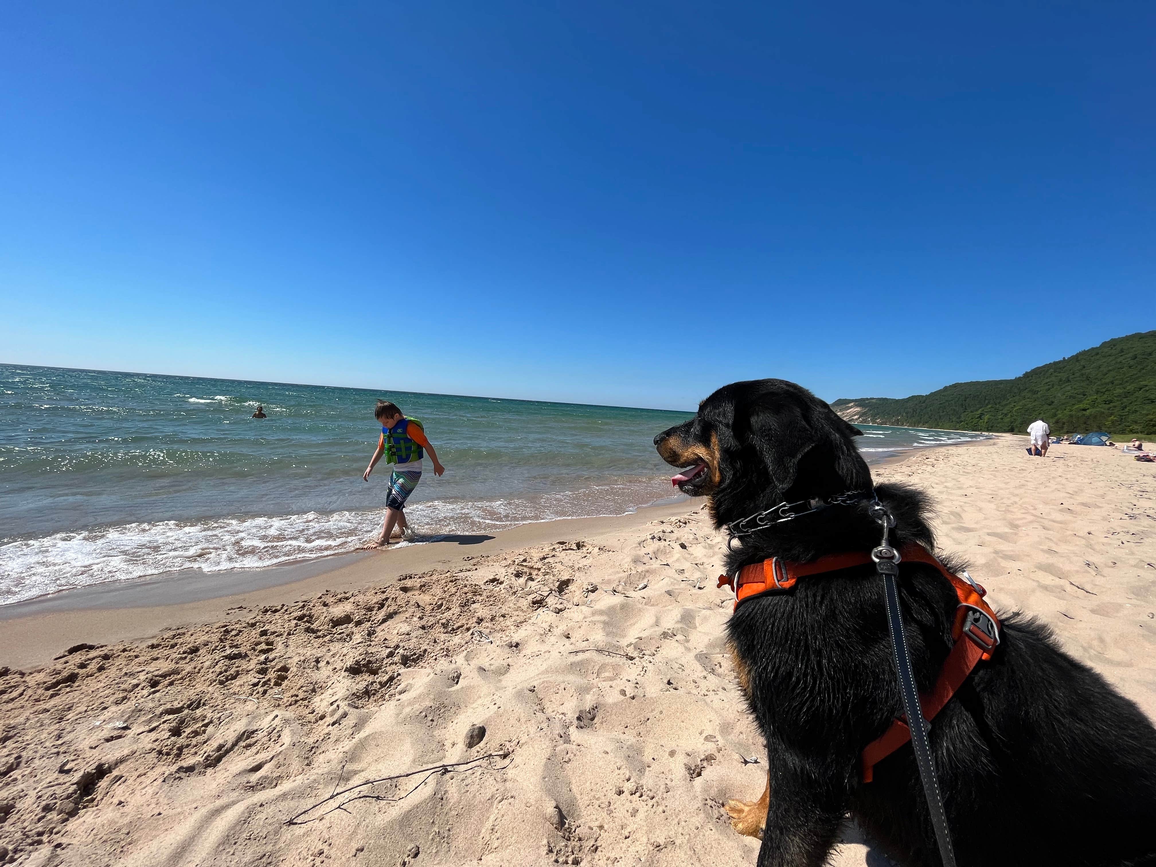 CHris B.'s photo of camping with pets at Platte River Campground — Sleeping Bear Dunes National Lakeshore near Traverse City, MI