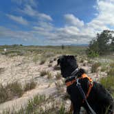 Review photo of Platte River Campground — Sleeping Bear Dunes National Lakeshore by CHris B., July 17, 2022